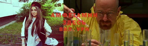 шишки Балахна
