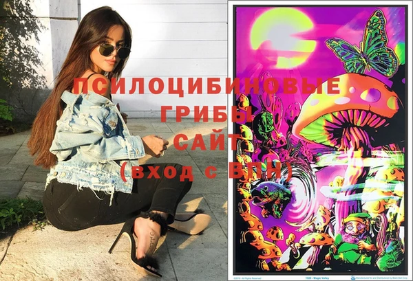 шишки Балахна