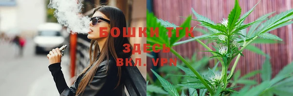 гидра Карабаново