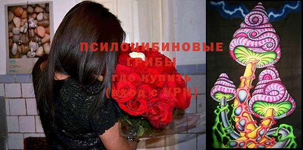 хмурый Балабаново