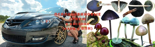 хмурый Балабаново